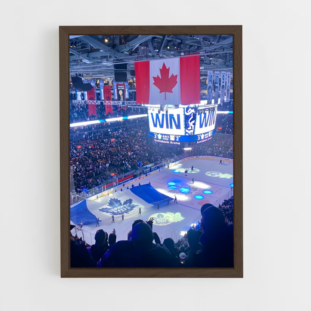 Poster Glace Olympique – affiche Hockey sur glace (vue 5)